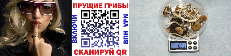 купить наркотики сайты  Северодвинск  Галлюциногенные грибы прущие грибы 